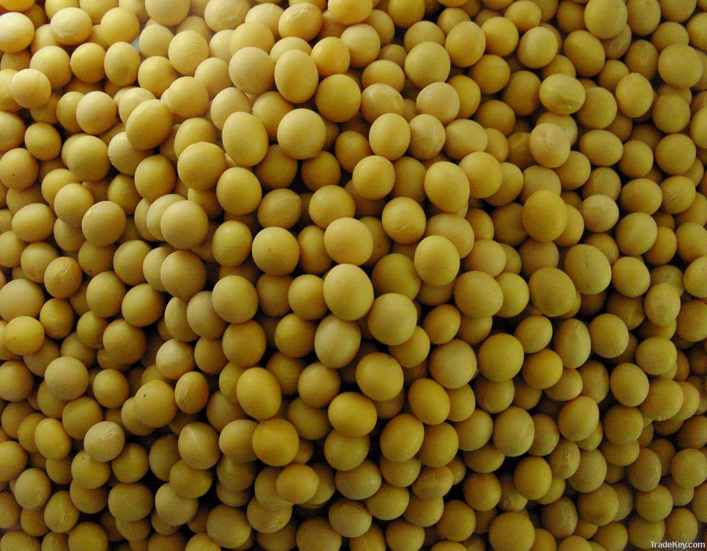 Soybeans