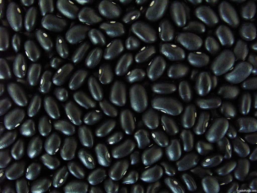 Black Small Kidney Beans