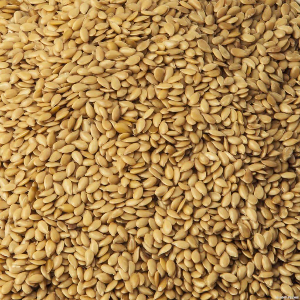 Organic Golden Flax Seeds