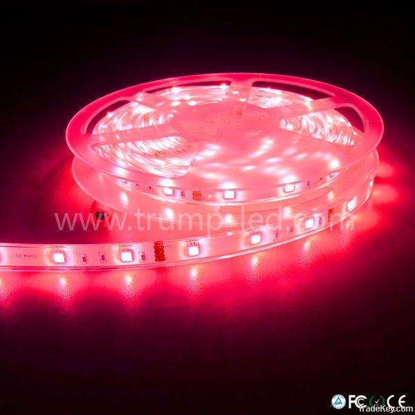 2012 new saving energy 12v led waterproof light strip