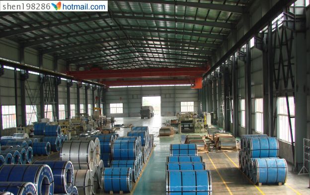 Hot rolled sheet and cold rolled sheet