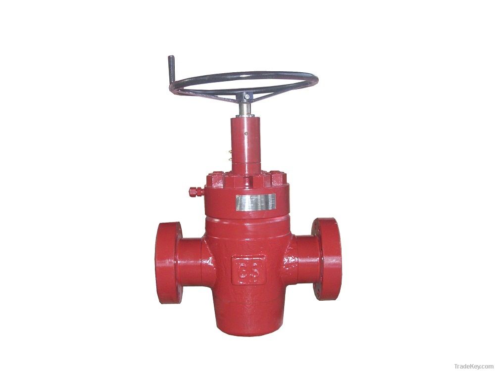 gate valve