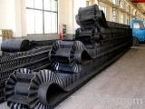 Sidewall Conveyor Belt(XT-01)