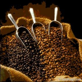 export Arabica Coffee beans,Arabica Coffee bean importer,Arabica Coffee beans buyer,buy Arabica Coffee beans,Arabica Coffee bean manufacturer,best Arabica Coffee bean exporter,low price Arabica Coffee beans,best quality Arabica Coffee bean,Coffee bean sup