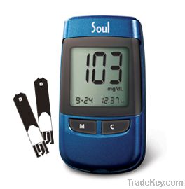 Soul Blood Glucose Monitor