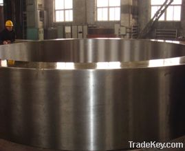 Transmission products  Castings Forgings