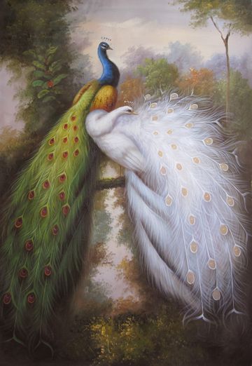 peacock nice oil painting