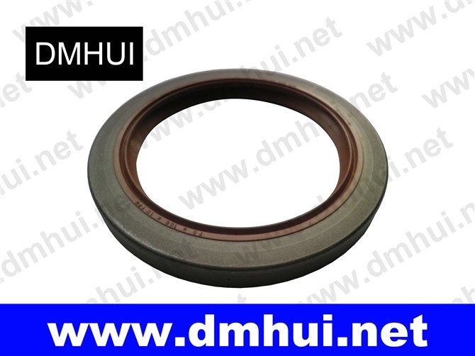 ZF gearbox oil seals 75*100*10(0734 319 378 )