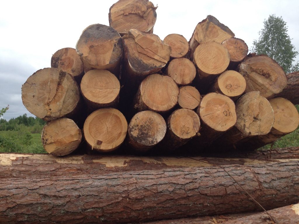 Sawn Timber