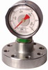 Mud Pump Pressure Gauge