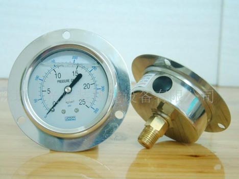 CNG Pressure Gauge