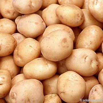 potatoes