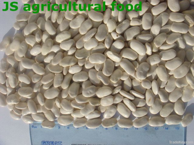 Chinese white kidney beans
