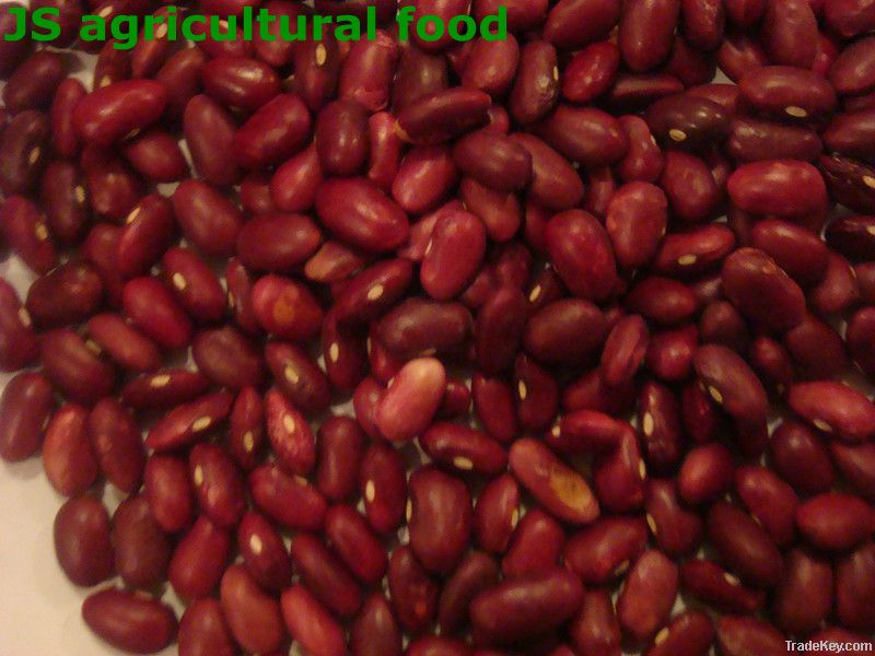 dark red kidney beans