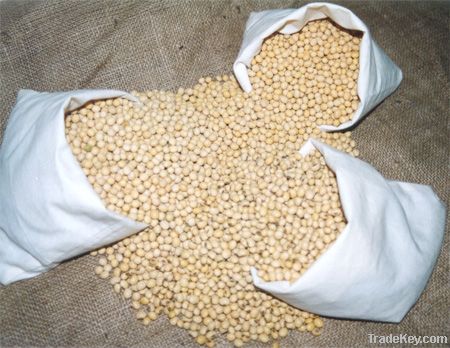 Yellow Soya Beans & Soyabeans