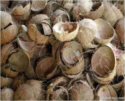 Coconut Shell