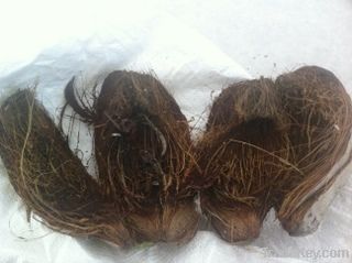 coconut Husks