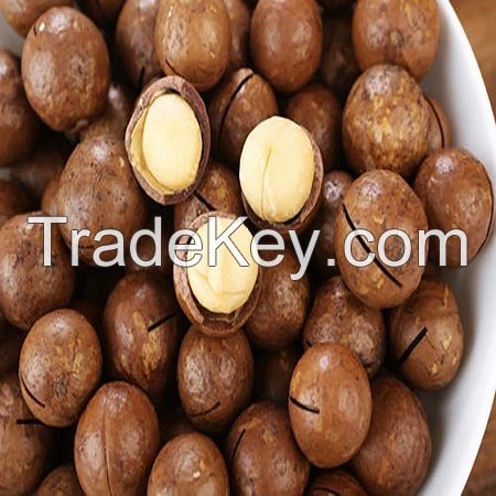 Quality Macadamia Nuts