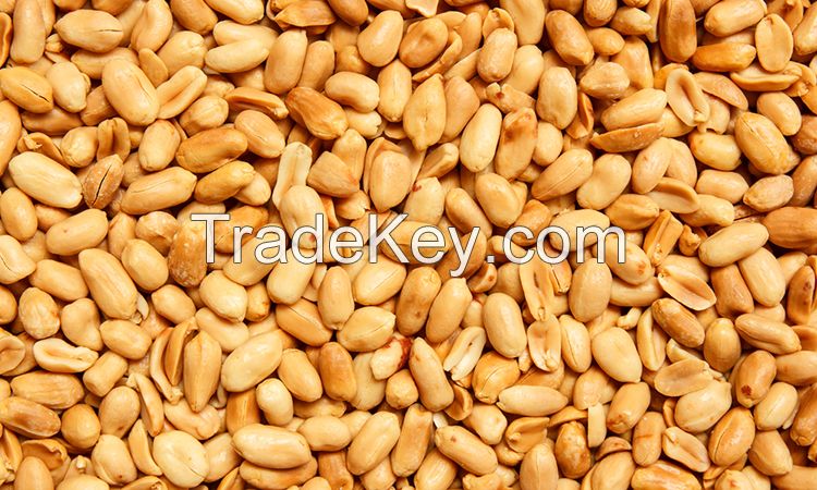 High Protein Red Skin Peanuts