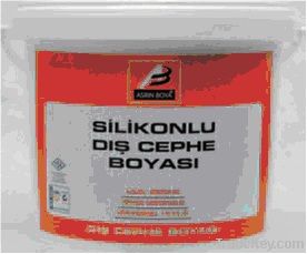 Silicone enhanced exterior paint