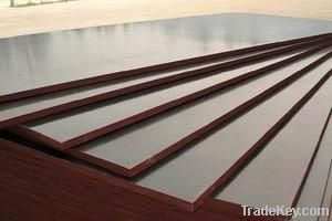 Film faced plywood