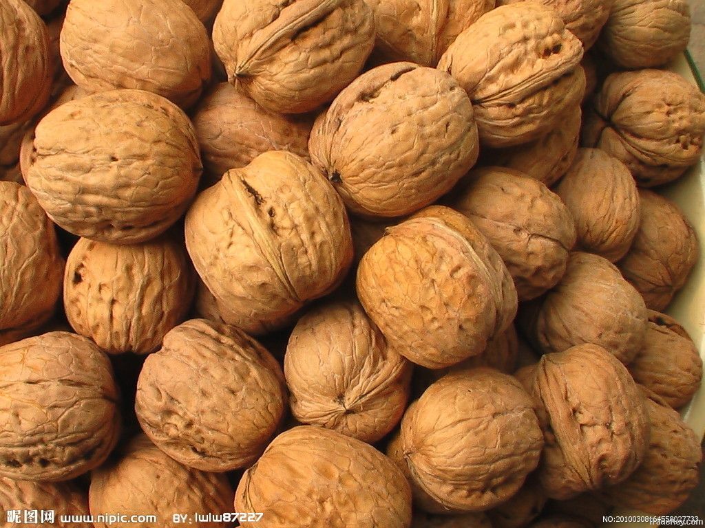 Walnuts China Customs Clearance