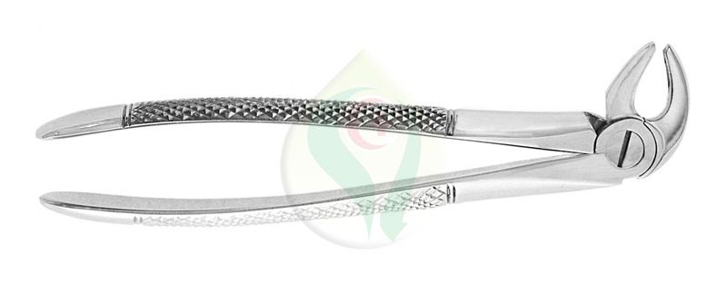 Extracting Forceps