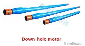 Down-hole motor