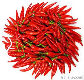 Hot Chilli and paprika