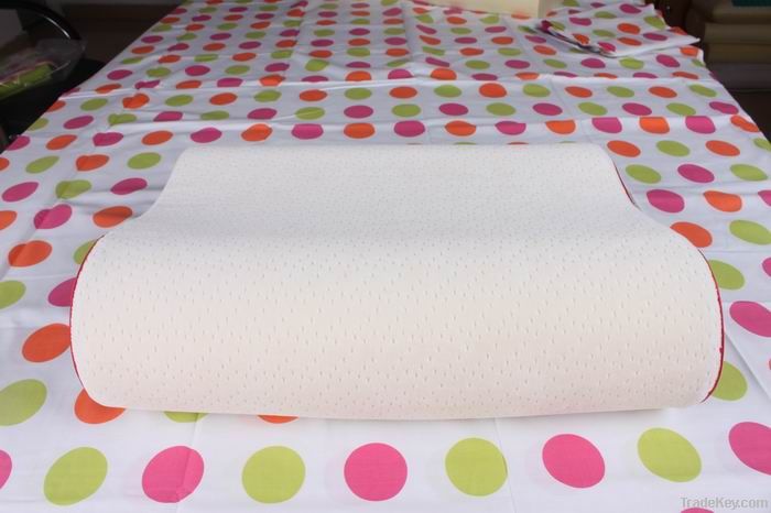 Popular Contour Memory Foam Pillow
