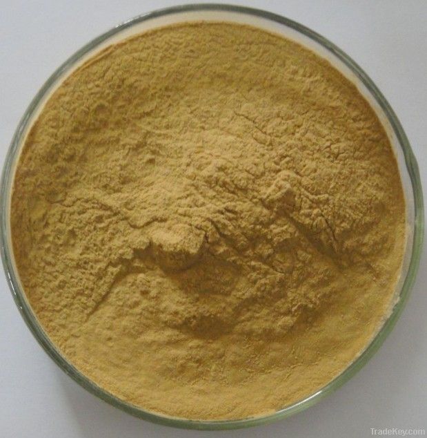 Kava Kava Extract