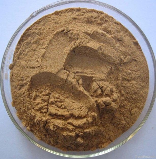 Cordyceps sinensis mycelium Extract