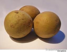 Sapodilla