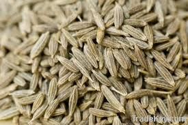 Cumin Seed