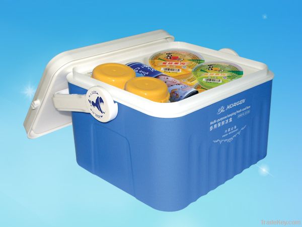 Multi-purpose cool box