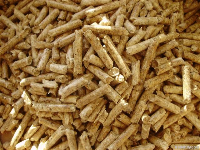 2012 Wood Pellets| Beech Wood Pellet | Oak Wood Pellets