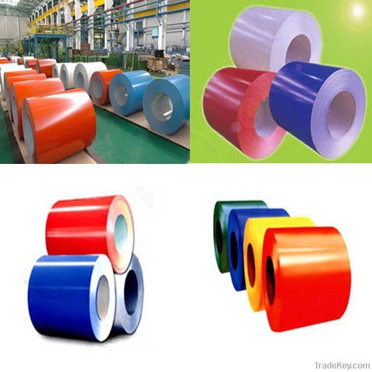 PPGI/ Painted galvanized steel coil