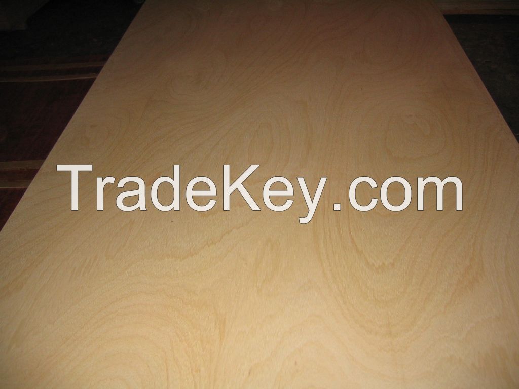 Obeche Plywood, poplar core, E2 glue