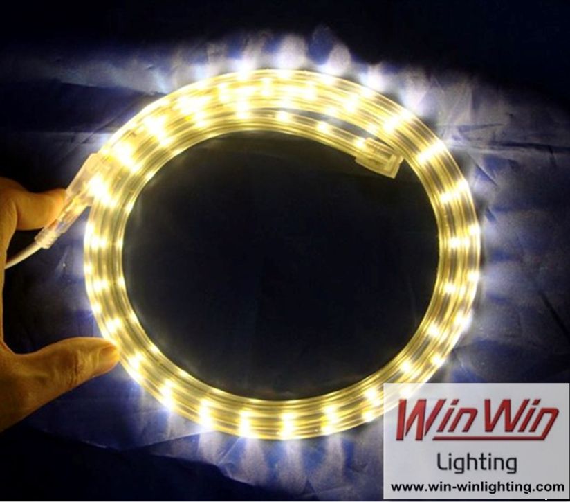 LED Flexible Strip Light