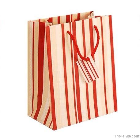 Shopping Paper bag