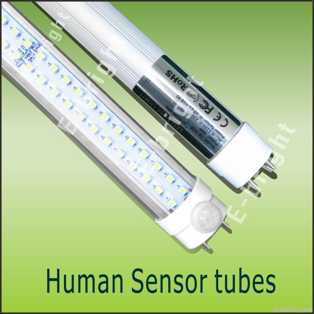 LED Tube