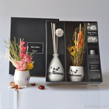 2012 Hot Sale Aroma Diffuser