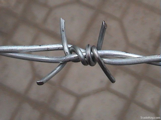 barbed wire