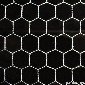 hexagonal wire mesh