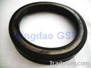 Hub Oil Seal