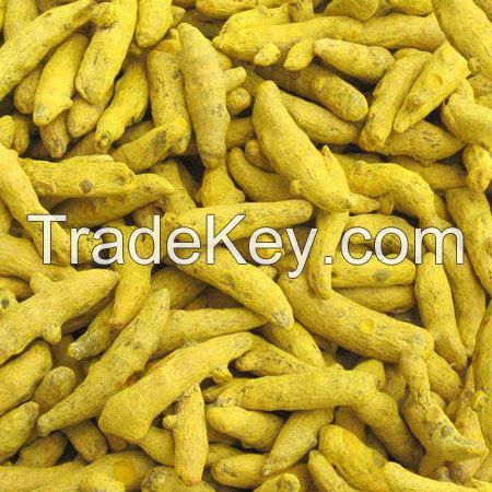 Turmeric Finger Single