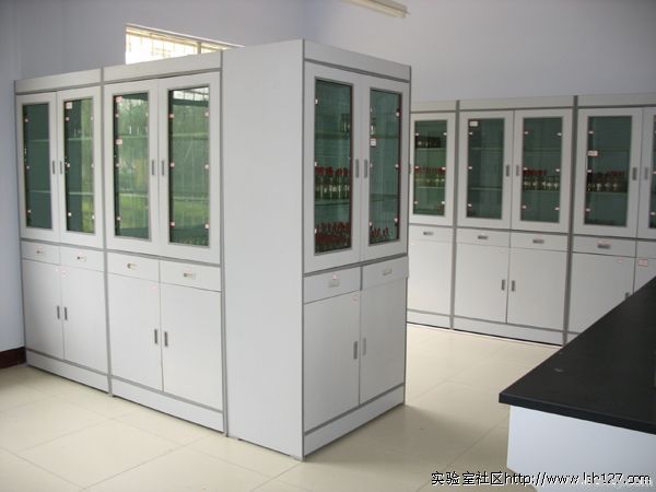 Lab metal cabinet