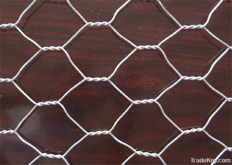 electro and hot dipped galvanized hexagonal wire mesh