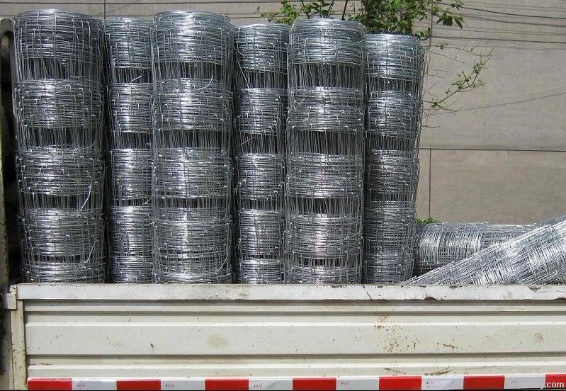 hot sale prairie fence wire mesh(factory price)