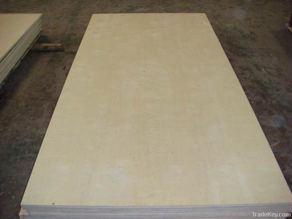 birch plywood